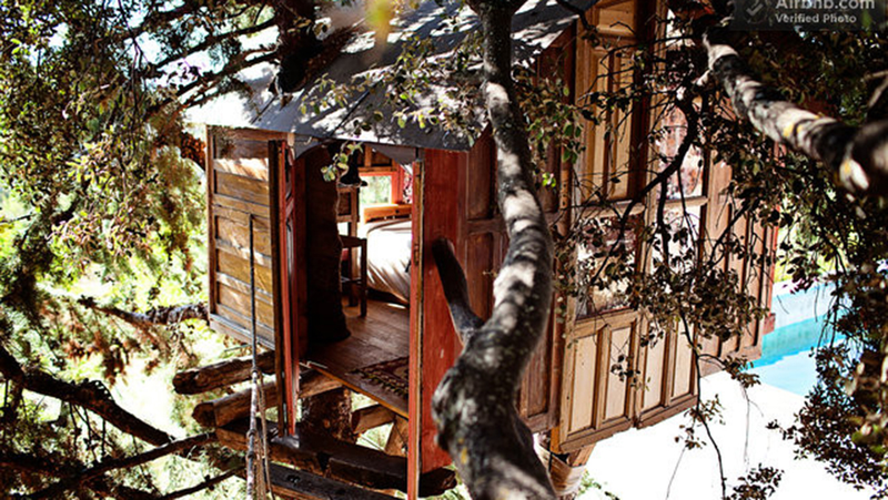 Illustration for article titled 13 Ingenious Treehouses That Go Out on a Limb